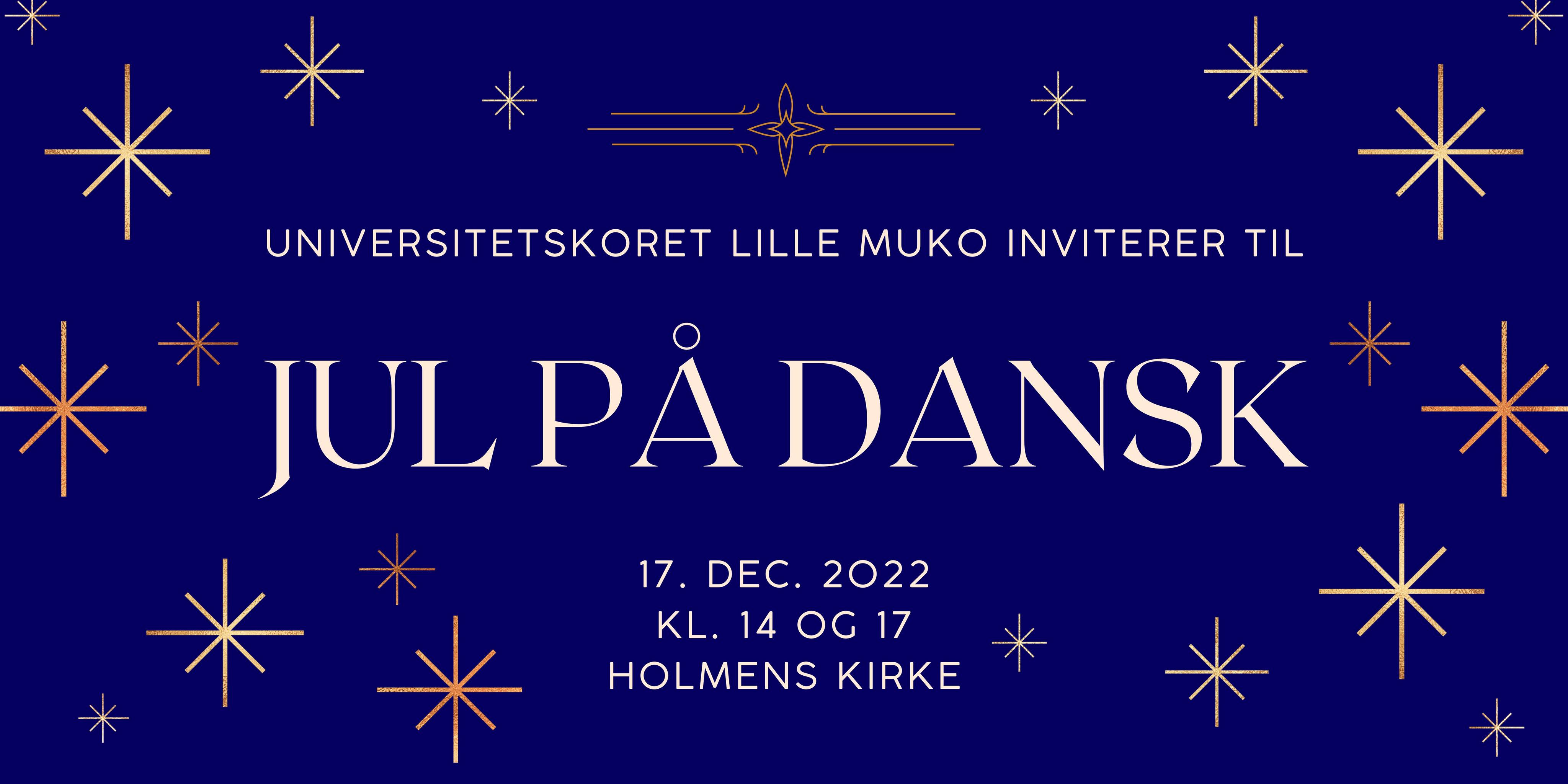 Jul på Dansk i Holmens Kirke i København med Universitetskoret Lille MUKO