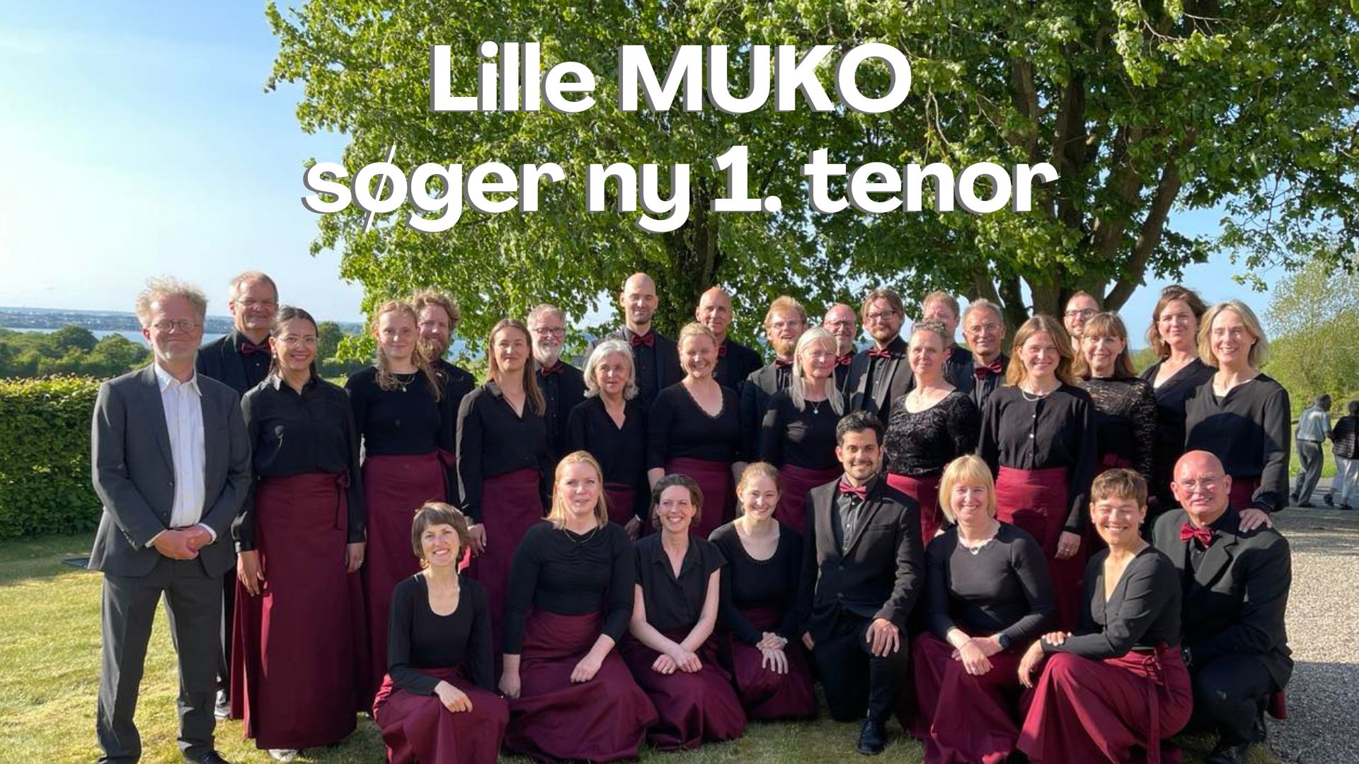 Universitetskoret Lille MUKO sger ny 1. tenor
